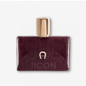 Aigner True Icon