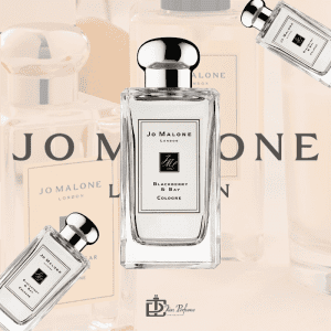 Nước hoa Jo malone Blackberry & Bay Cologne 100ml Tiến Perfume