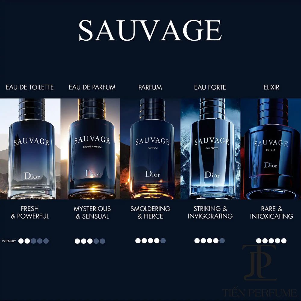 Dior Sauvage EDP 100ml 31 Authentic Fragrance Dior Sauvage EDP 100ml _ Dior Sauvage EDP _ Tiến Perfume
