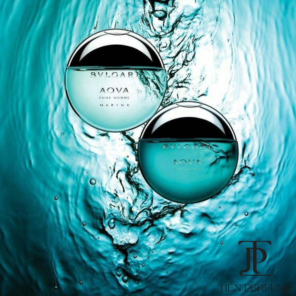 BVLGARI AQVA Pour Homme EDT 100ml 28 Man Perfume BVLGARI AQVA Pour Homme EDT _ Tiến Perfume