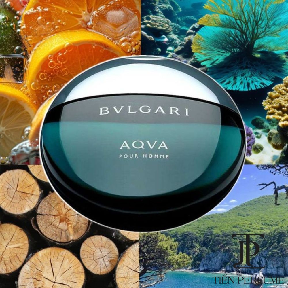 BVLGARI AQVA Pour Homme EDT 100ml 29 Mùi hương BVLGARI AQVA Pour Homme EDT _ Tiến Perfume