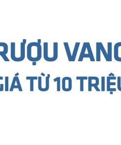 Rượu Vang Giá Từ 10 Triệu