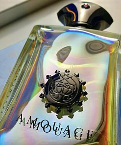 AMOUAGE Portrayal Man 100ml