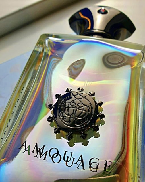 AMOUAGE Portrayal Man 100ml