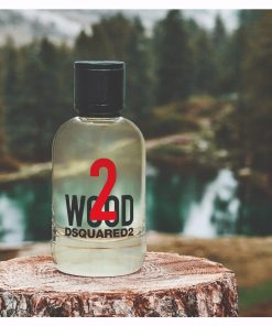 DSQUARED2 2 Wood EDT TIENPERFUME