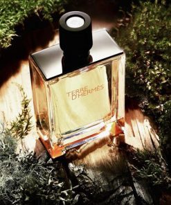 Hermes Terre D'Hermes