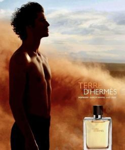 Hermes Terre D'Hermes EDT 100ml