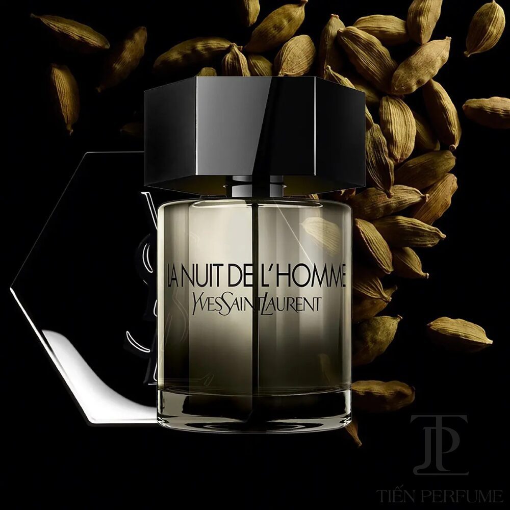 Review Yves Saint Laurent La Nuit De L’Homme Eau de Toilette _ Tiến Perfume Review Yves Saint Laurent La Nuit De L’Homme Eau de Toilette _ Tiến Perfume