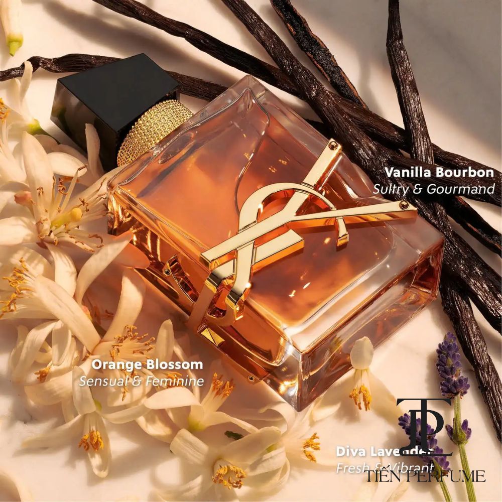 Yves Saint Laurent YSL Libre EDP Intense 24 Nước hoa Libre Intense Yves Saint Laurent auth _ Tiến Perfume