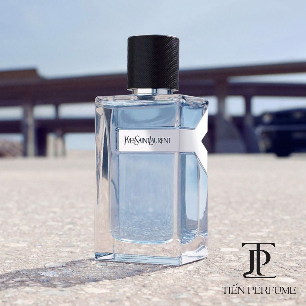 Yves Saint Laurent Y Eau de Toilette 29 Nước hoa Yves Saint Laurent Y Eau de Toilette authentic _ Tiến Perfume