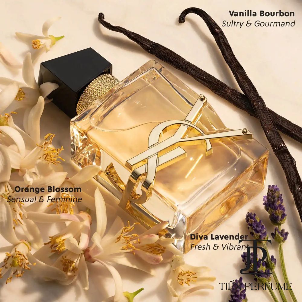 Nước hoa chính hãng Libre EDP Yves Saint Laurent _ Tiến Perfume Nước hoa chính hãng Libre EDP Yves Saint Laurent _ Tiến Perfume