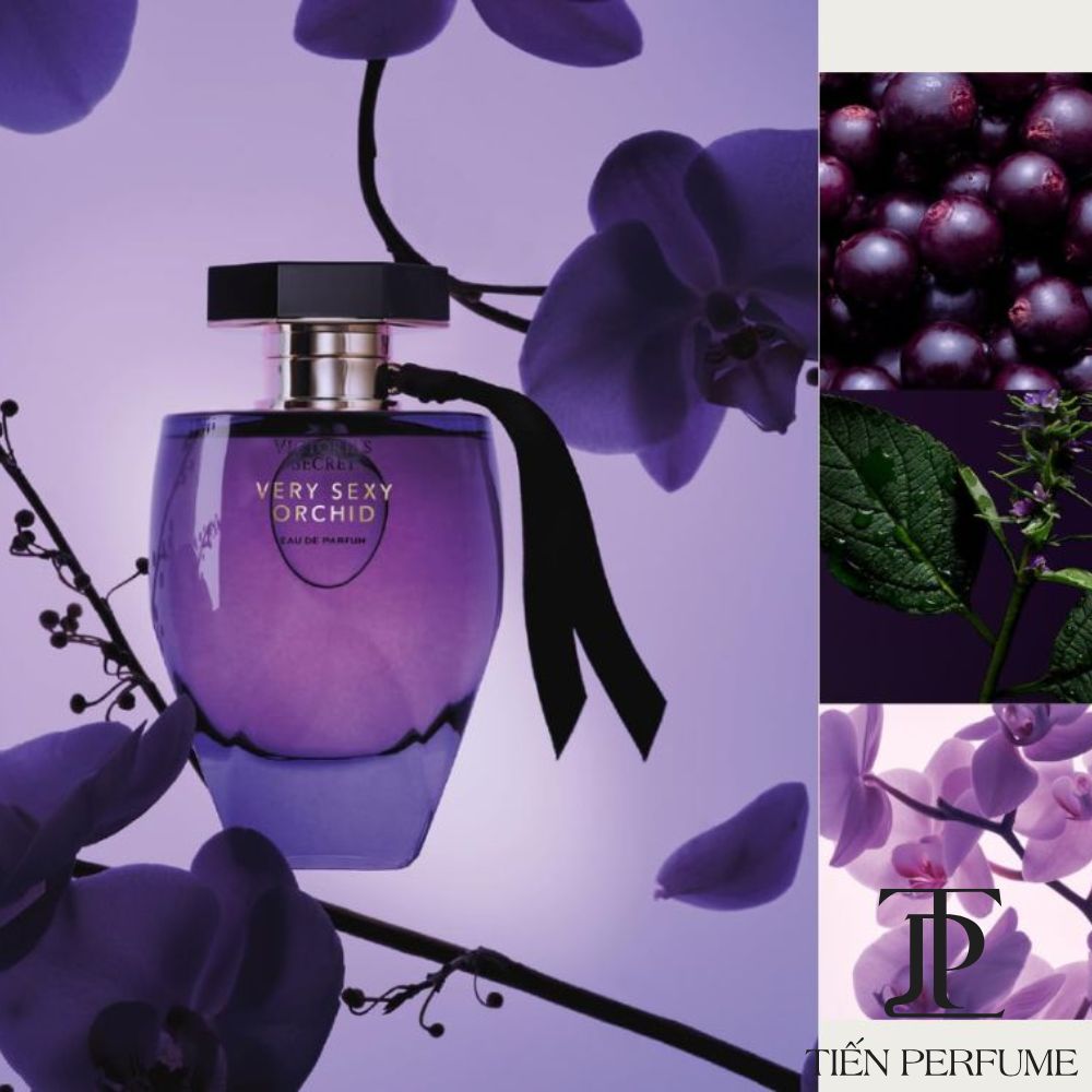 Victoria Secret Very Sexy Orchid EDP 100ml 12 Review Victoria Secret Very Sexy Orchid tím _ Tiến Perfume