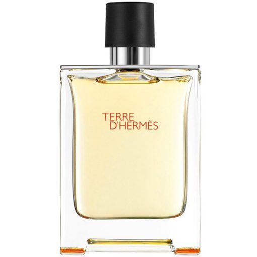 Hermes Terre D’Hermes 100ml