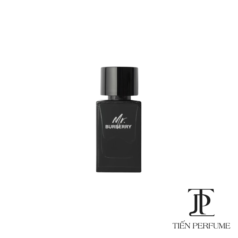 Burberry Mr. Burberry EDP 100ml _ Tiến Perfume