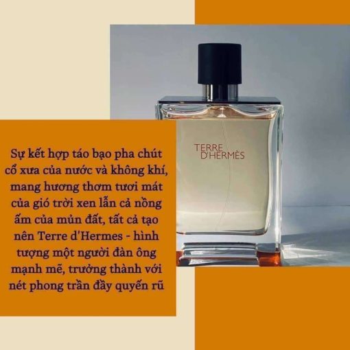 Nước hoa Hermes Terre D'Hermes EDT 50ml sang trọng