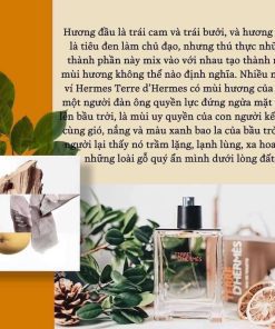 Nước hoa nam Terre D'Hermes EDT 50ml