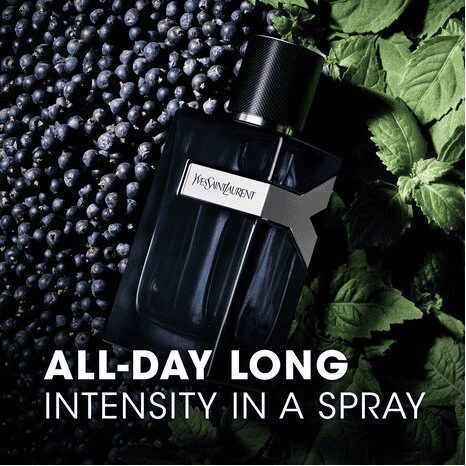 YSL Y EDP Intense 2023 100ml