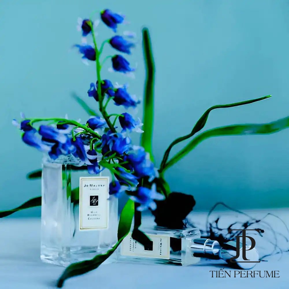 Jo Malone Wild Bluebell Cologne 27 Nước hoa Jo Malone Wild Bluebell Cologne authentic _ Tiến Perfume