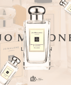 Nước hoa Jo Malone Black Cedarwood & Juniper Cologne 100ml Tiến Perfume