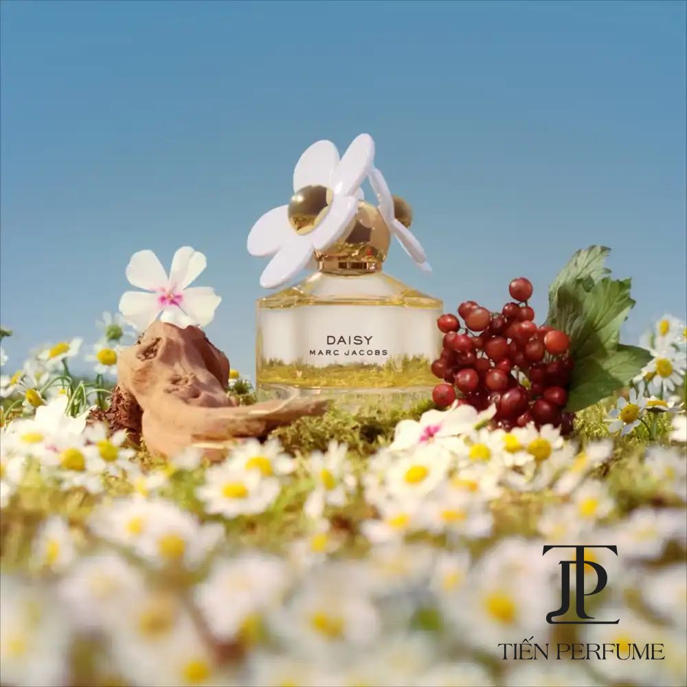 Marc Jacobs Daisy EDT 22 Nước hoa Marc Jacob Daisy EDT auth _ Tiến Perfume