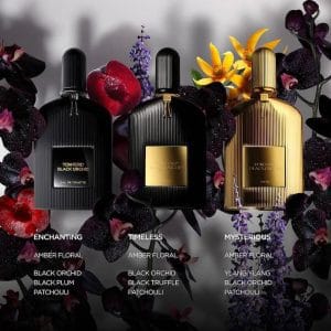 Tom Ford Black Orchid phiên bản EDT, EDP, Parfum