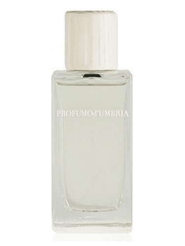 Dani Zenobi nước hoa nổi tiếng