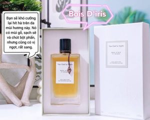 Mô tả mùi hương Bois D'Iris EDP 75ml Van Cleef & Arpels