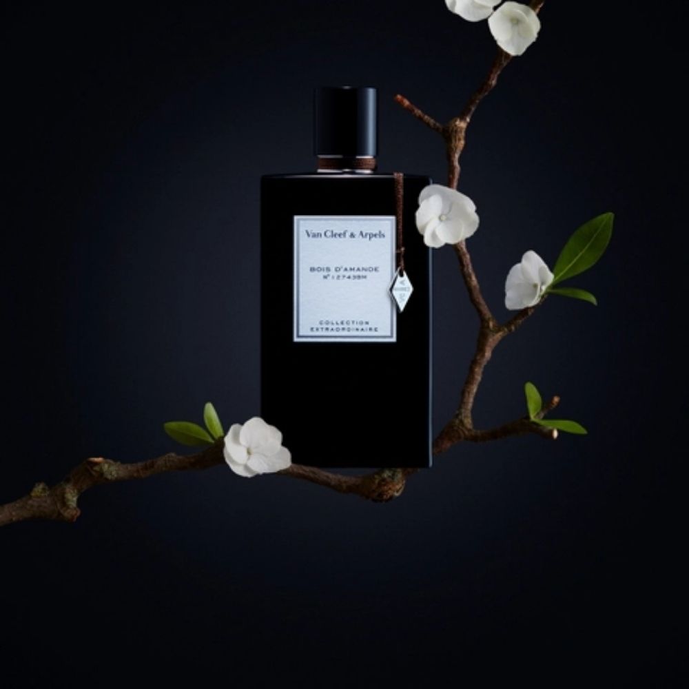 11 Van Cleef Arpels Bois D'Amande EDP 75ml _ Tiến Perfume 11 Van Cleef Arpels Bois D'Amande EDP 75ml _ Tiến Perfume