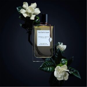 Van Cleef Arpels Gardenia Petale EDP 75ml 1 15 Van Cleef Arpels Gardenia Petale EDP 75ml _ Tiến Perfume