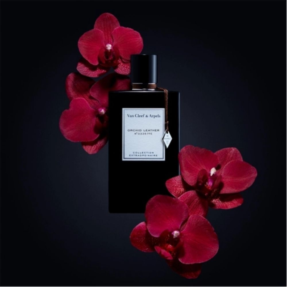 8 Van Cleef Arpels Orchid Leather EDP 75ml _ Tiến Perfume 8 Van Cleef Arpels Orchid Leather EDP 75ml _ Tiến Perfume