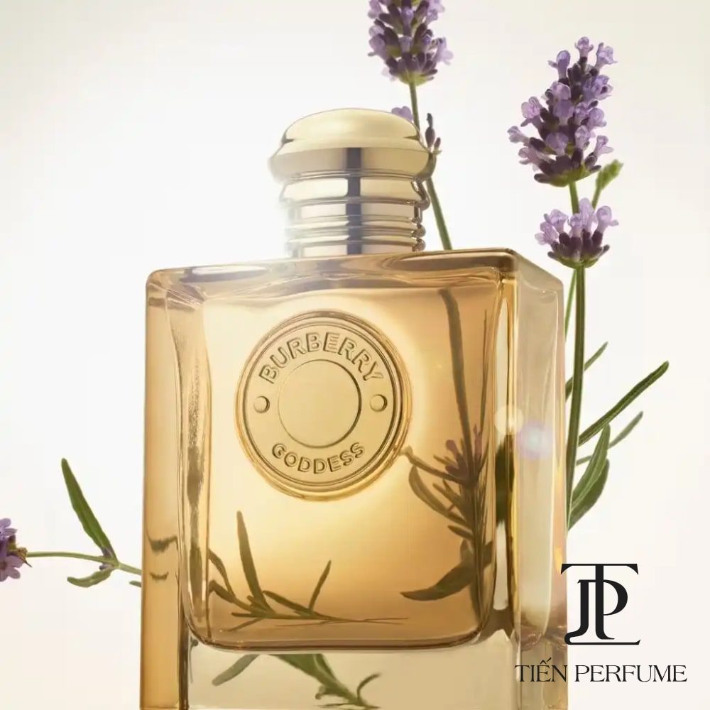Burberry Weekend EDP 26 Nước hoa chính hãng Burberry Goddess EDP Intense _ Tiến Perfume