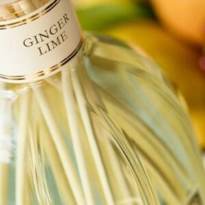 17 Tinh dầu Dr. Vranjes Diffuser Ginger Lime 1250ml _ Tiến Perfume