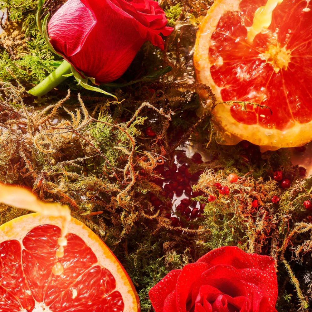 1 Mùi hương ROJA ROJA A Midsummer Dream _ Tiến Perfume