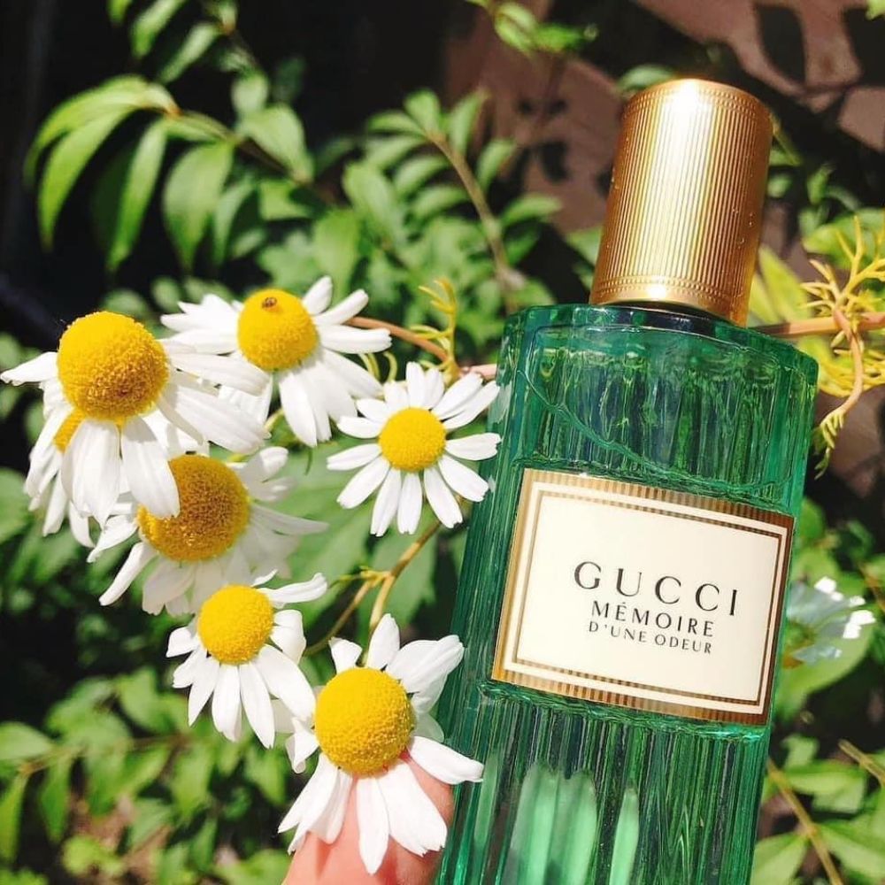Gucci Mémoire d'une Odeur EDP 11 Nước hoa Gucci Memoire D’une Odeur EDP chính hãng _ Tiến Perfume