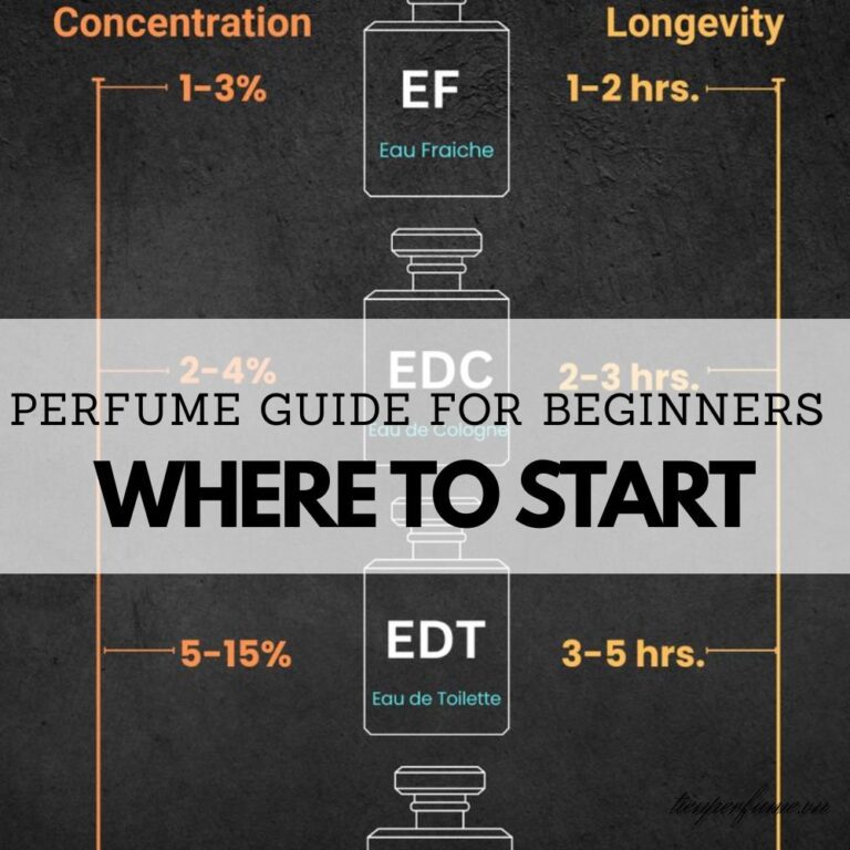 1 Perfume guide for beginners where to start Tiến Perfume tips