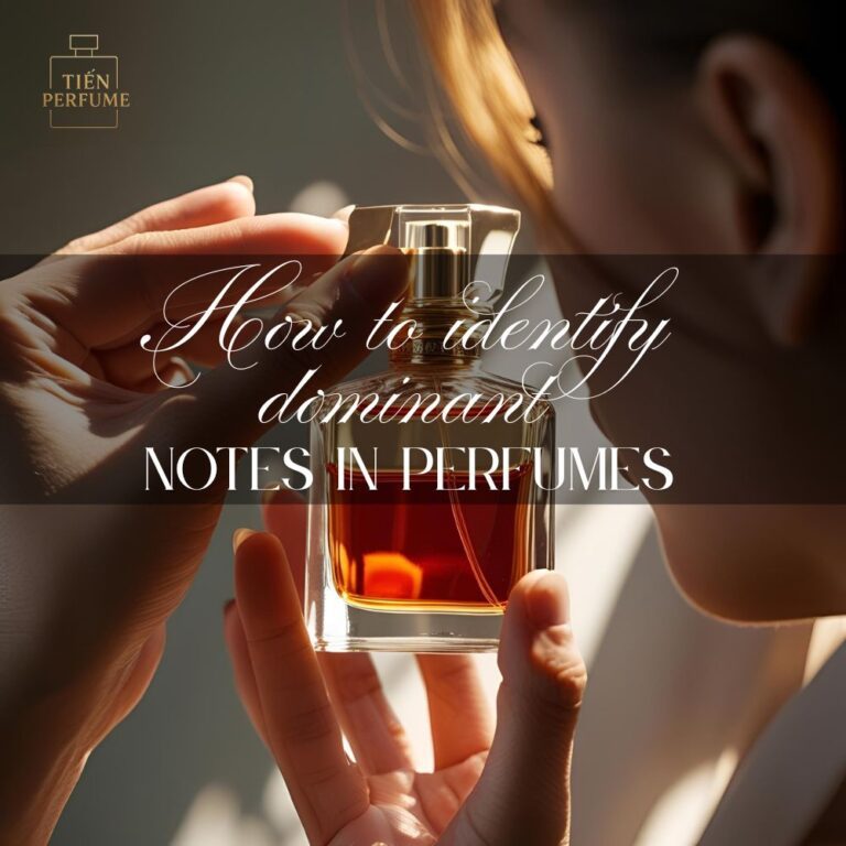 15 How to identify dominant notes in perfumes _ Tiến Perfume tips