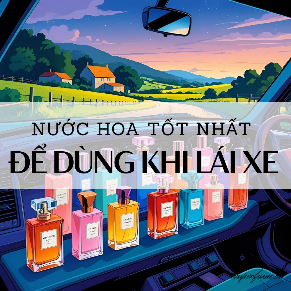 18 Nước hoa tốt nhất để dùng khi lái xe _ Mẹo nước hoa Tiến Perfume