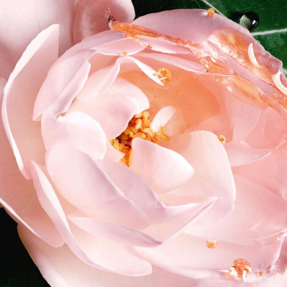 2 Review nước hoa Dior Dioriviera _ Tiến Perfume