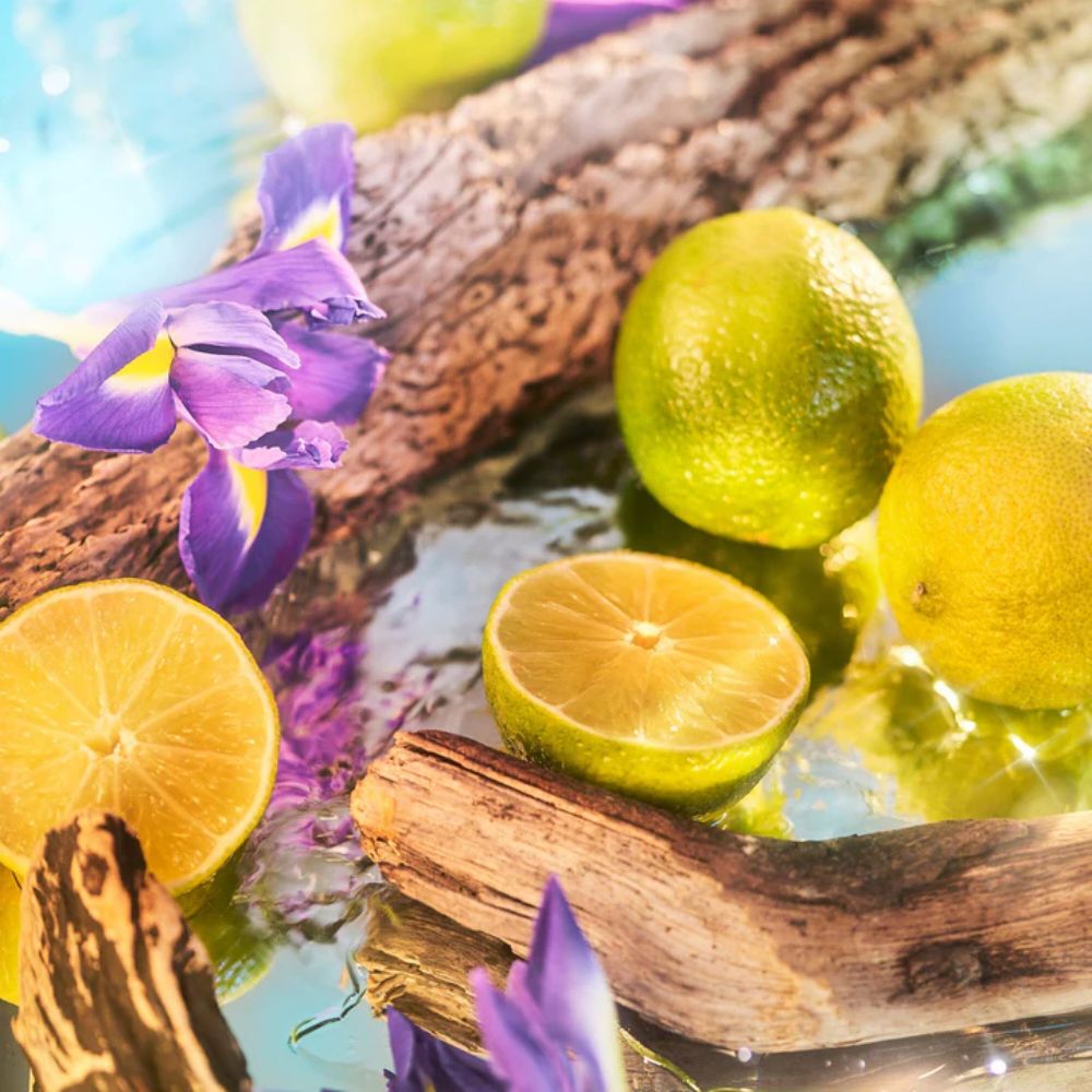Review nước hoa ROJA OCEANIA PARFUM 2 2 Review nước hoa ROJA OCEANIA PARFUM _ Tiến Perfume