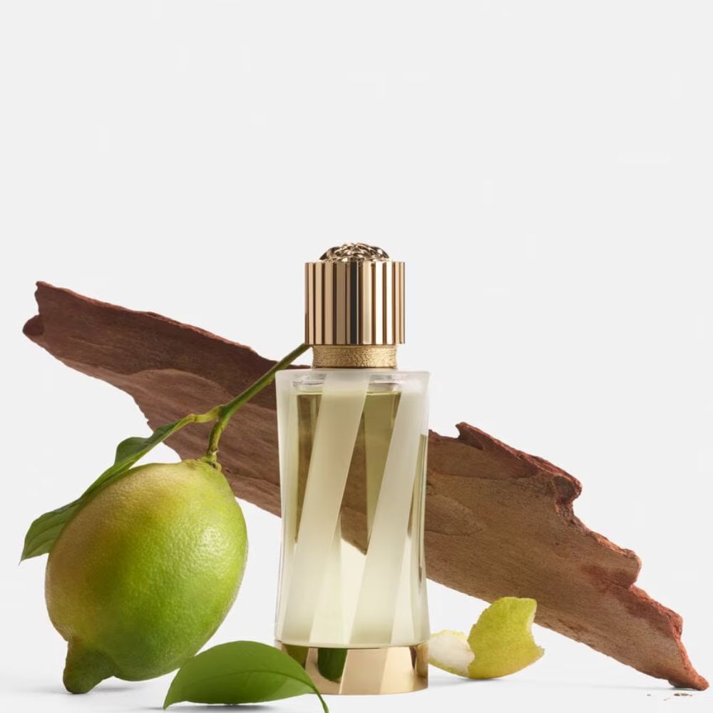 Review nước hoa Versace Cédrat de Diamante EDP 2 2 Review nước hoa Versace Cédrat de Diamante EDP _ Tiến Perfume