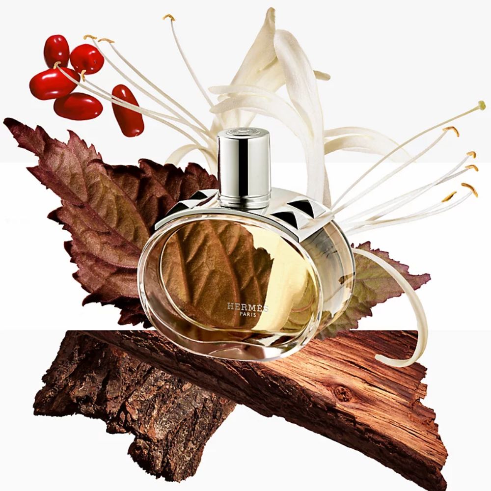 Review nước hoa Hermes Barénia EDP 3 3 Review nước hoa Hermes Barénia EDP _ Tiến Perfume