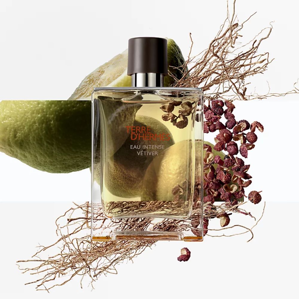 Review nước hoa Hermes Terre d'Hermes Eau Intense Vetiver EDP 3 3 Review nước hoa Hermes Terre d'Hermes Eau Intense Vetiver EDP _ Tiến Perfume
