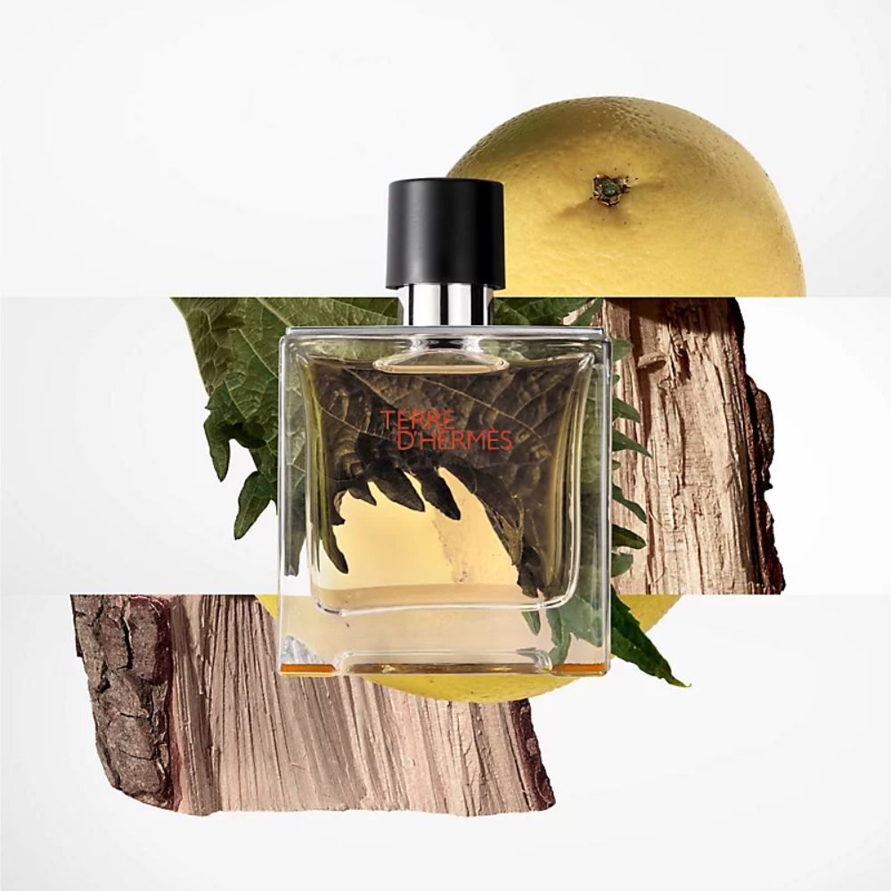 Review nước hoa Hermes Terre d'Hermes Parfum 3 3 Review nước hoa Hermes Terre d'Hermes Parfum _ Tiến Perfume