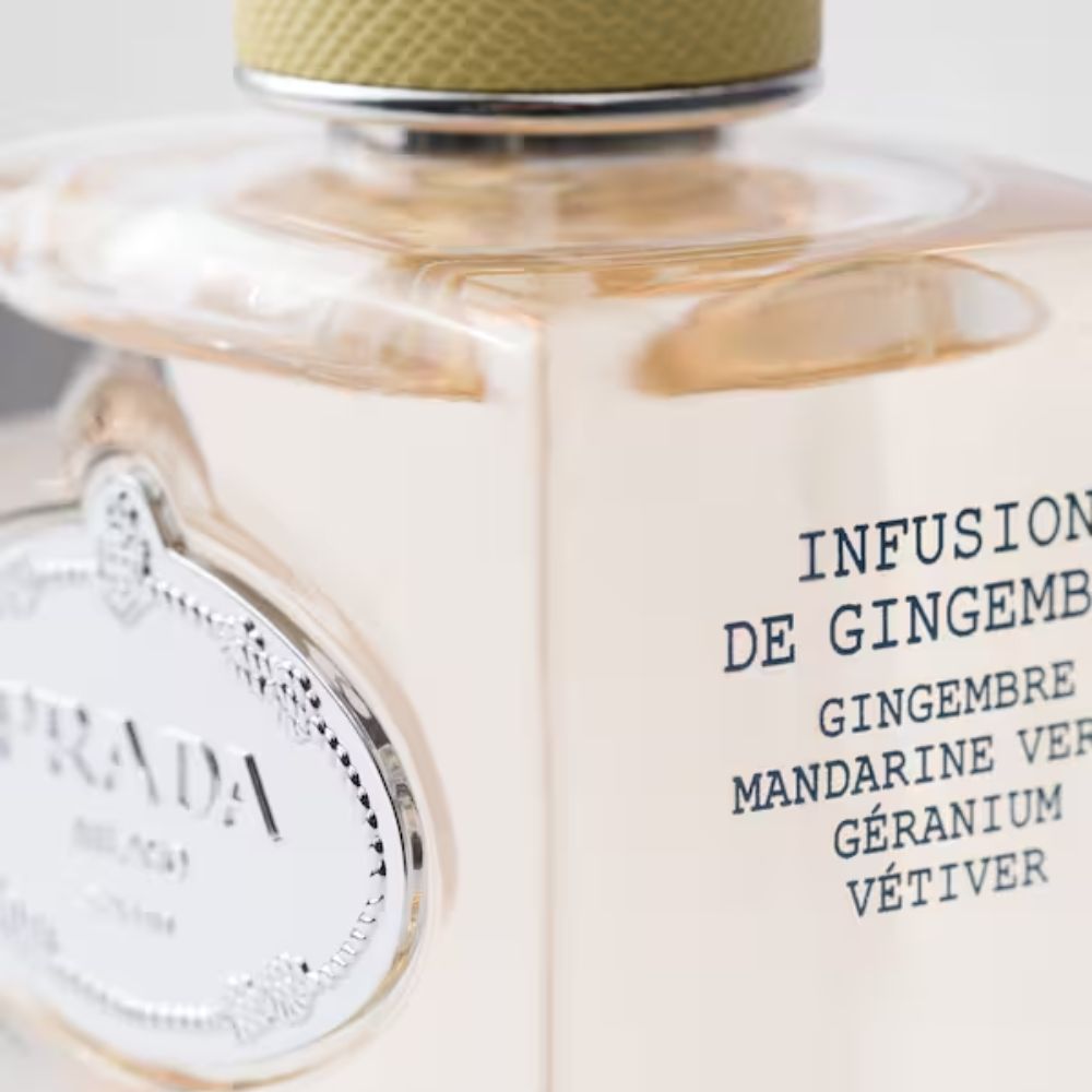 Review nước hoa Prada Prada Infusion de Gingembre EDP 3 3 Review nước hoa Prada Infusion de Gingembre EDP _ Tiến Perfume