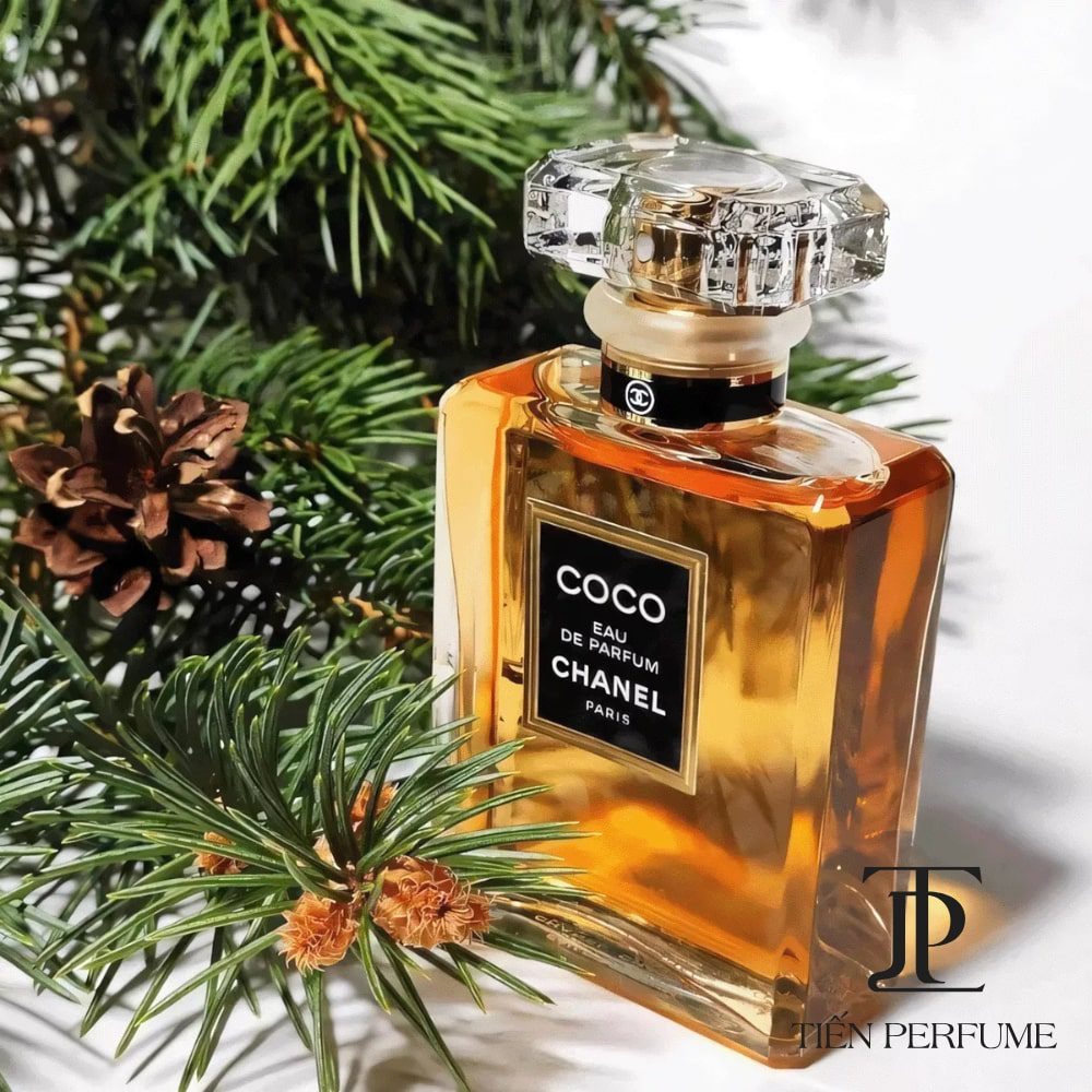 Nước hoa Chanel Coco EDP authentic _ Tiến Perfume Nước hoa Chanel Coco EDP authentic _ Tiến Perfume