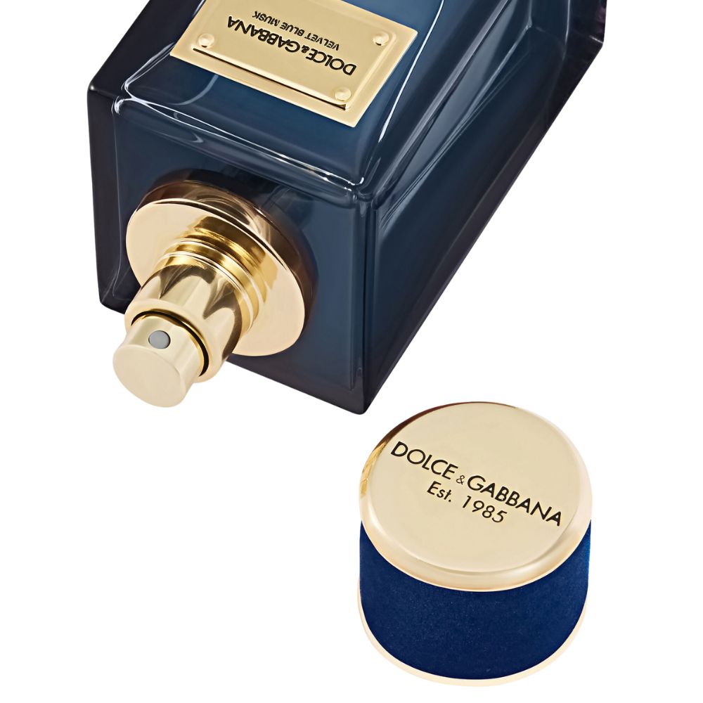 2 Review nước hoa DOLCE GABBANA Velvet Blue Musk EDP _ Tiến Perfume