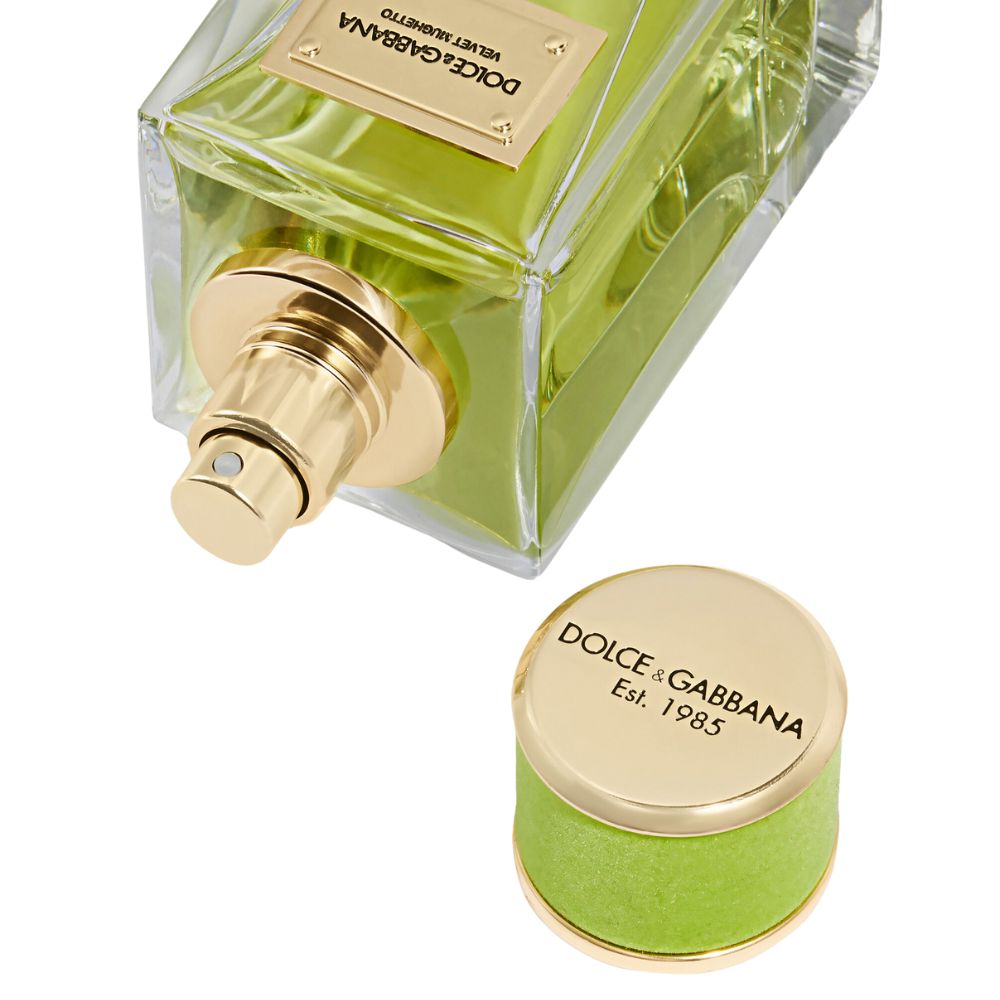 2 Review nước hoa DOLCE GABBANA Velvet Mughetto EDP _ Tiến Perfume
