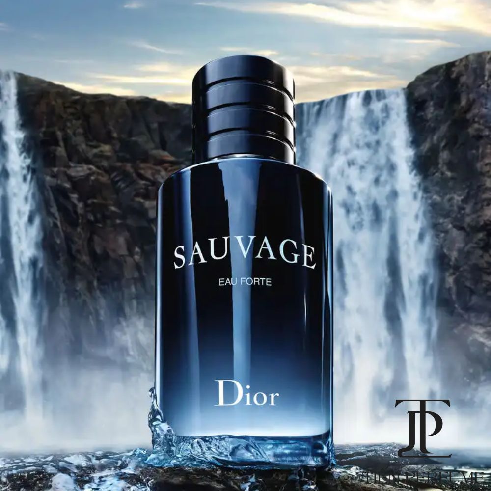Dior Sauvage Eau Forte Parfum 100ml 27 Male Perfume Dior Sauvage Eau Forte Parfum 100ml _ Sauvage Eau Forte Parfum _ Tiến Perfume