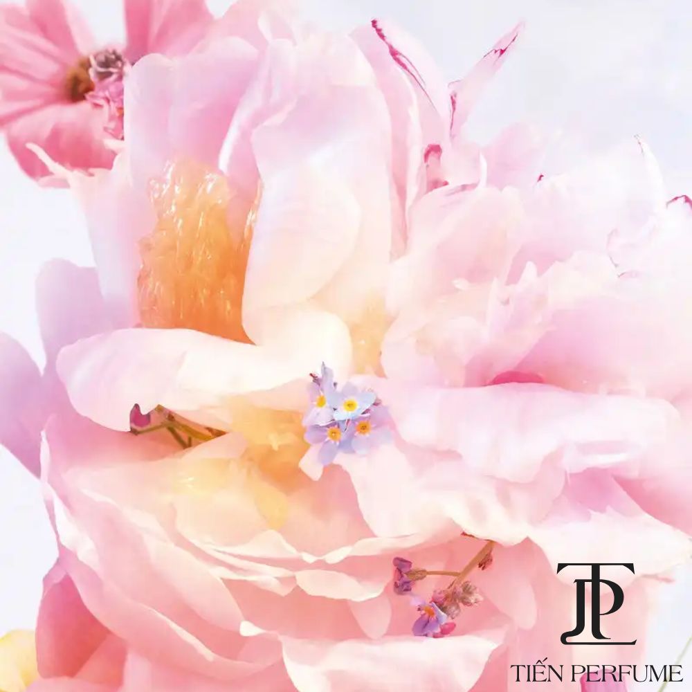 Miss Dior Blooming Bouquet EDT 20 Mùi hương nước hoa chính hãng Miss Dior Blooming Bouquet EDT 100ml _ Tiến Perfume