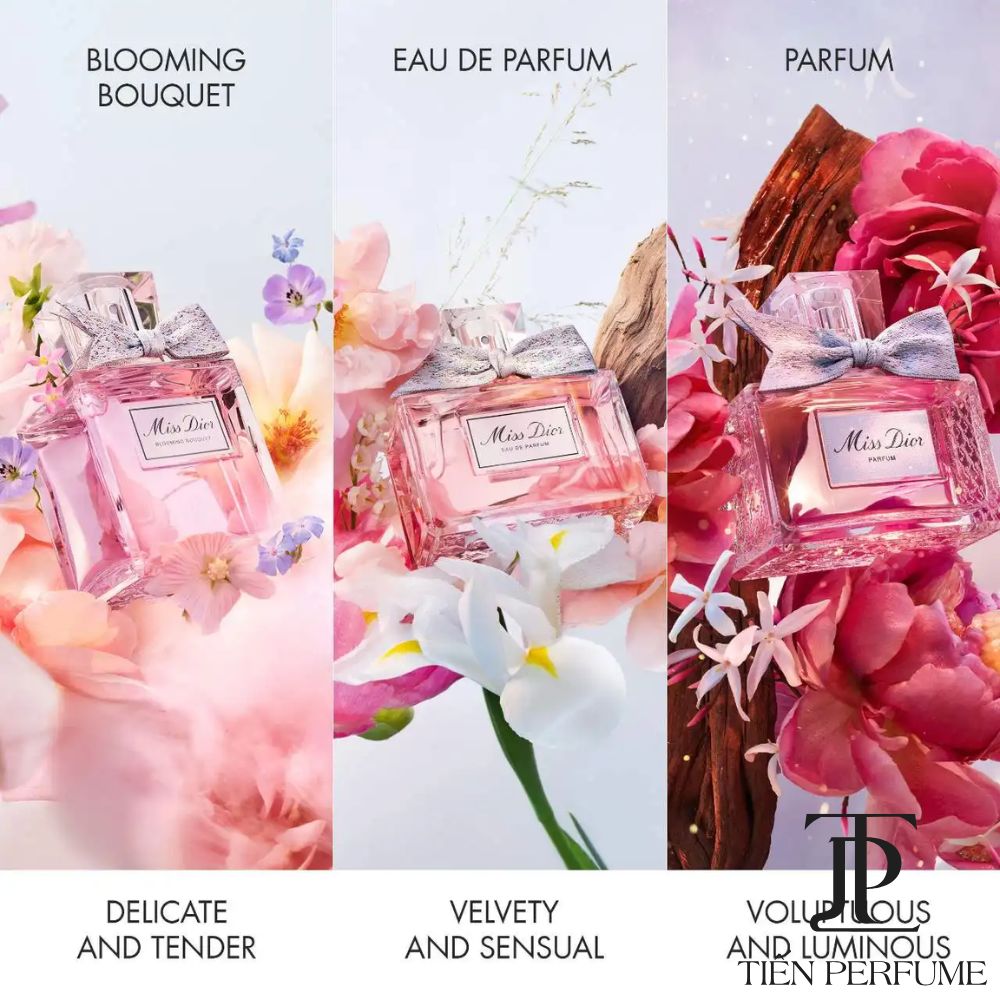 Miss Dior Blooming Bouquet EDT 24 Nước hoa nữ Miss Dior Blooming Bouquet EDT 100ml _ Tiến Perfume